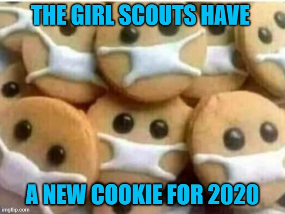 THE GIRL SCOUTS HAVE; A NEW COOKIE FOR 2020 | image tagged in 2020 | made w/ Imgflip meme maker