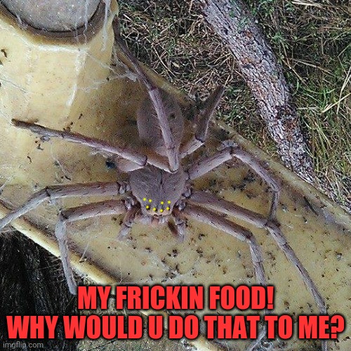 MY FRICKIN FOOD! WHY WOULD U DO THAT TO ME? | made w/ Imgflip meme maker