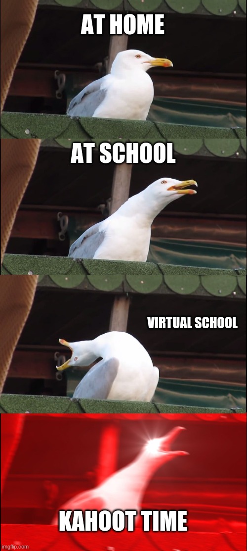 Inhaling Seagull Meme | AT HOME; AT SCHOOL; VIRTUAL SCHOOL; KAHOOT TIME | image tagged in memes,inhaling seagull | made w/ Imgflip meme maker