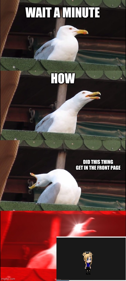 Wait a sec | WAIT A MINUTE; HOW; DID THIS THING GET IN THE FRONT PAGE | image tagged in memes,inhaling seagull | made w/ Imgflip meme maker