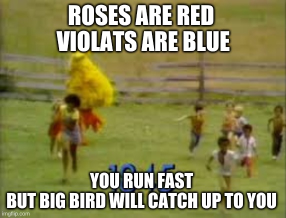 big bird running | ROSES ARE RED 
VIOLATS ARE BLUE; YOU RUN FAST 
BUT BIG BIRD WILL CATCH UP TO YOU | image tagged in big bird running | made w/ Imgflip meme maker
