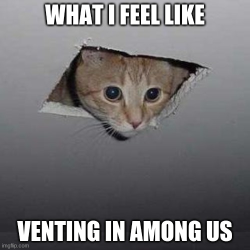 Ceiling Cat Meme | WHAT I FEEL LIKE; VENTING IN AMONG US | image tagged in memes,ceiling cat | made w/ Imgflip meme maker