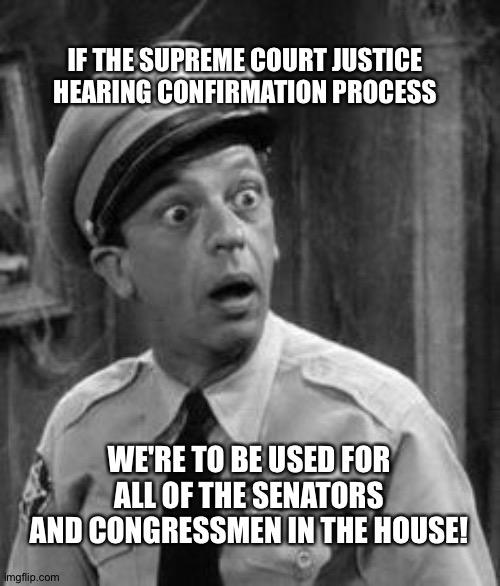 Barney | IF THE SUPREME COURT JUSTICE HEARING CONFIRMATION PROCESS; WE'RE TO BE USED FOR ALL OF THE SENATORS AND CONGRESSMEN IN THE HOUSE! | image tagged in barney | made w/ Imgflip meme maker