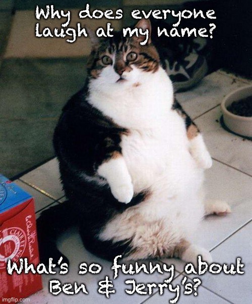 fat cat | Why does everyone laugh at my name? What’s so funny about
Ben & Jerry’s? | image tagged in fat cat | made w/ Imgflip meme maker