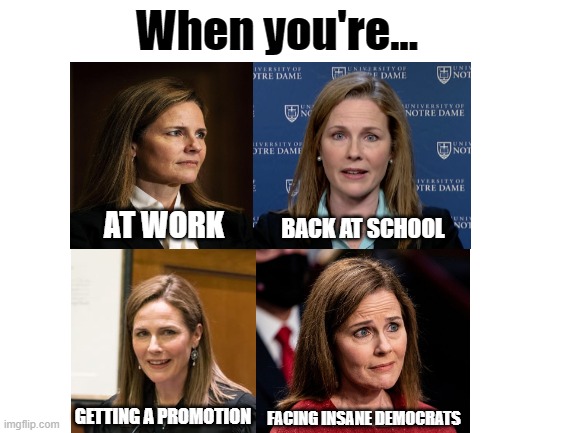 There's something grotesquely wrong with the confirmation process.  It's called 'democrats.' | When you're... BACK AT SCHOOL; AT WORK; FACING INSANE DEMOCRATS; GETTING A PROMOTION | image tagged in blank white template,memes,stupid liberals,amy coney barrett,supreme court,confirmation | made w/ Imgflip meme maker