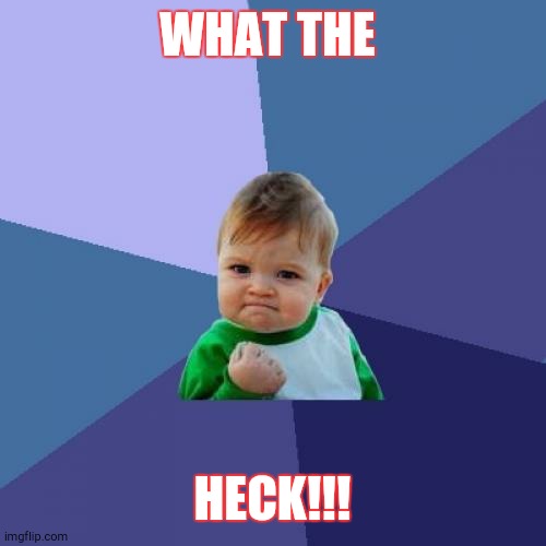 Success Kid Meme | WHAT THE; HECK!!! | image tagged in memes,success kid | made w/ Imgflip meme maker