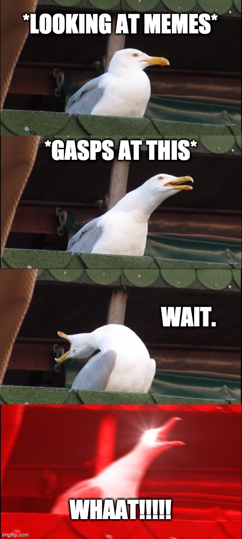 Inhaling Seagull Meme | *LOOKING AT MEMES* *GASPS AT THIS* WAIT. WHAAT!!!!! | image tagged in memes,inhaling seagull | made w/ Imgflip meme maker