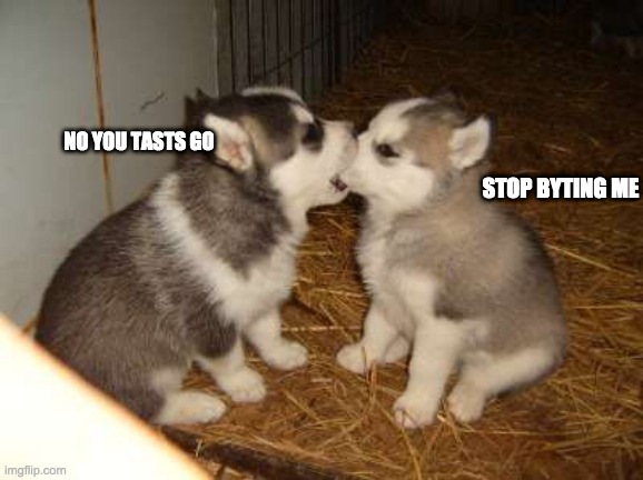 Cute Puppies | NO YOU TASTS GO; STOP BYTING ME | image tagged in memes,cute puppies | made w/ Imgflip meme maker