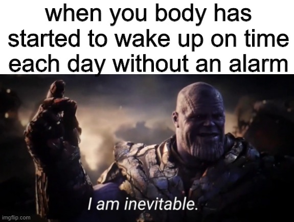 maybe i am a majicion | when you body has started to wake up on time each day without an alarm | image tagged in i am inevitable | made w/ Imgflip meme maker