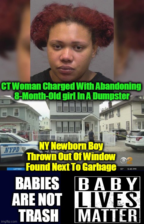 Lesson Of The Day |  CT Woman Charged With Abandoning 

8-Month-Old girl In A Dumpster; NY Newborn Boy 
Thrown Out Of Window 
Found Next To Garbage; BABIES 
ARE NOT 
TRASH | image tagged in politics,political meme,baby lives matter,conservatives | made w/ Imgflip meme maker