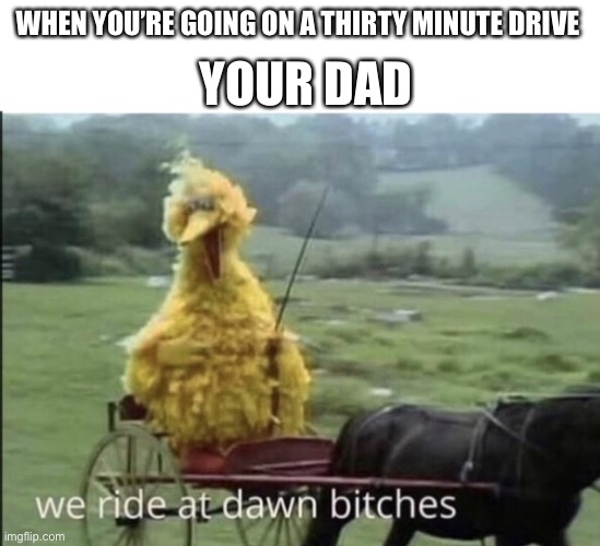 We ride at dawn bitches | WHEN YOU’RE GOING ON A THIRTY MINUTE DRIVE; YOUR DAD | image tagged in we ride at dawn bitches | made w/ Imgflip meme maker