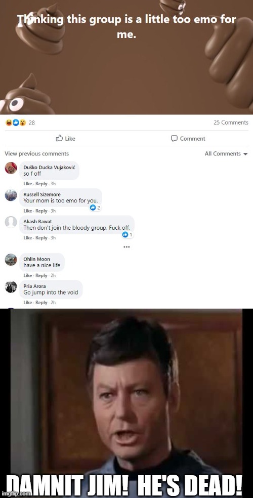 Probably shouldn't have posted a shit meme to a group of nihilists.  That def didn't go as planned. | DAMNIT JIM!  HE'S DEAD! | image tagged in he's dead jim | made w/ Imgflip meme maker
