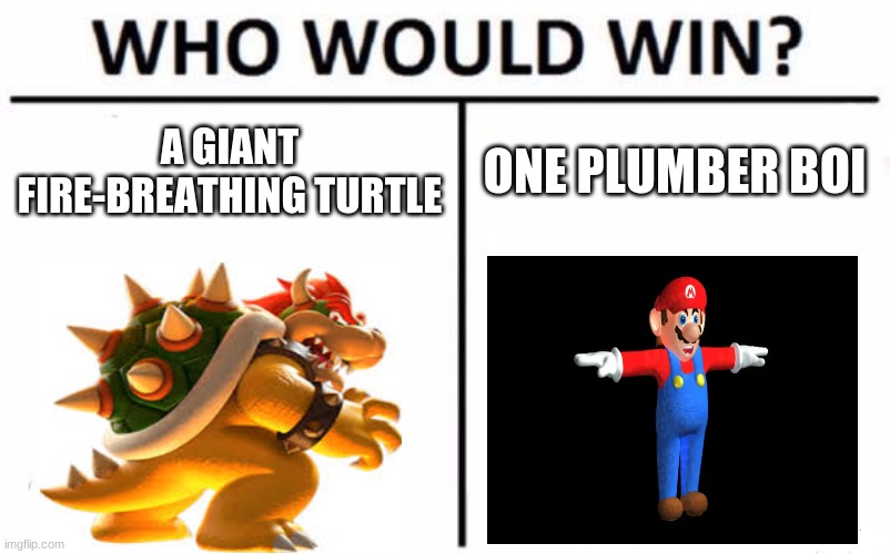 bowser v mario | A GIANT FIRE-BREATHING TURTLE; ONE PLUMBER BOI | image tagged in memes,who would win | made w/ Imgflip meme maker