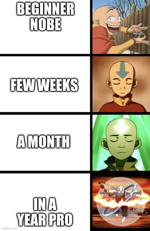 My Minecraft life | BEGINNER NOBE; FEW WEEKS; A MONTH; IN A YEAR PRO | image tagged in expanding aang | made w/ Imgflip meme maker