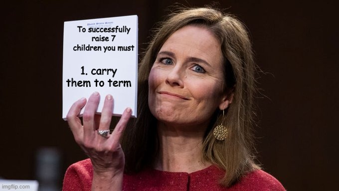 So Amy,  how hard would you say it is to raise 7 children? | To successfully raise 7 children you must; 1. carry them to term | image tagged in amy barrett,politics,political meme | made w/ Imgflip meme maker