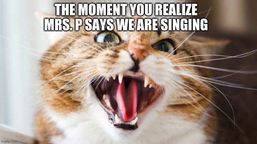 CHOIR | THE MOMENT YOU REALIZE MRS. P SAYS WE ARE SINGING | image tagged in choir,singing,school | made w/ Imgflip meme maker
