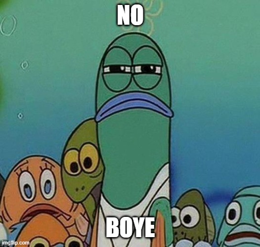 SpongeBob | NO BOYE | image tagged in spongebob | made w/ Imgflip meme maker