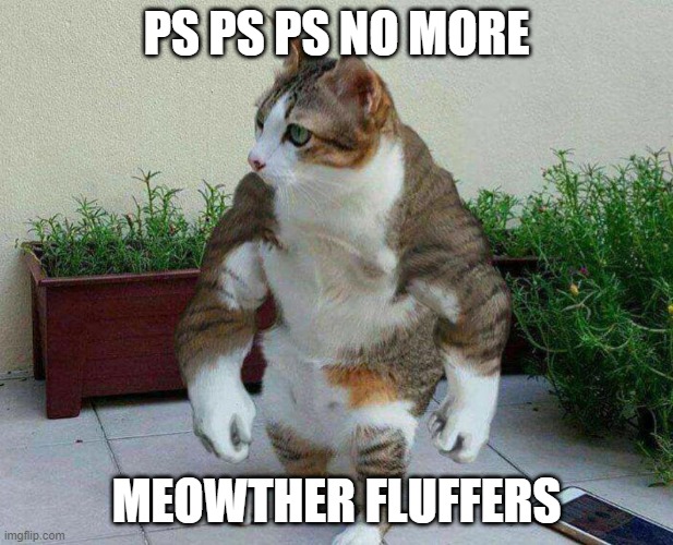 Buff cat | PS PS PS NO MORE; MEOWTHER FLUFFERS | image tagged in buff cat | made w/ Imgflip meme maker