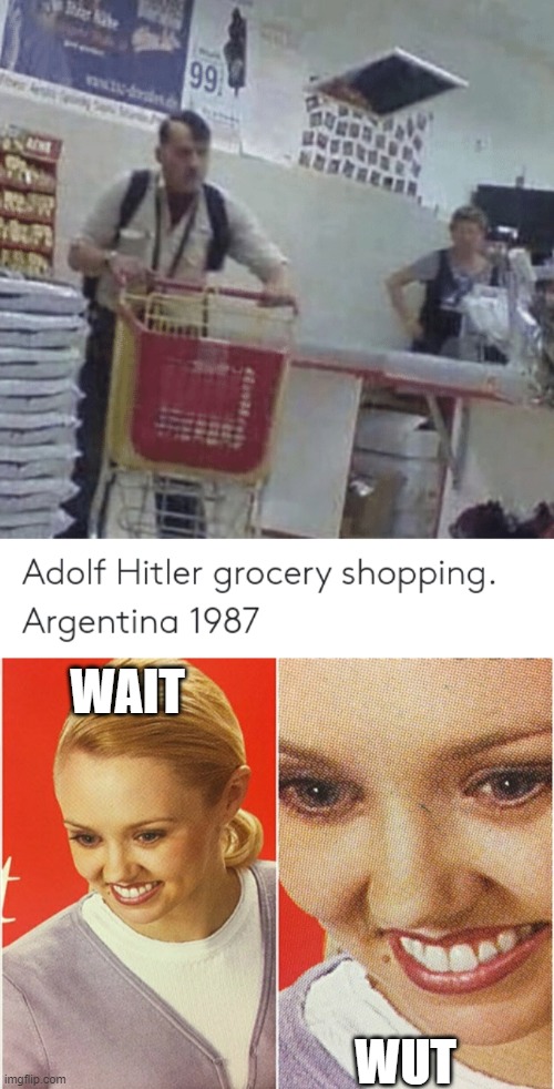 WAIT; WUT | image tagged in wait what | made w/ Imgflip meme maker