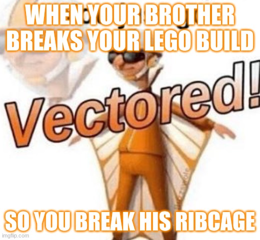 You just got vectored | WHEN YOUR BROTHER BREAKS YOUR LEGO BUILD; SO YOU BREAK HIS RIBCAGE | image tagged in you just got vectored | made w/ Imgflip meme maker