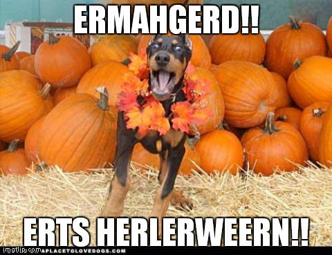 ERMAHGERD!! ERTS HERLERWEERN!! | made w/ Imgflip meme maker