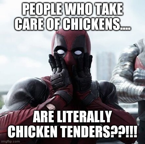 Chickens |  PEOPLE WHO TAKE CARE OF CHICKENS.... ARE LITERALLY CHICKEN TENDERS??!!! | image tagged in memes,deadpool surprised | made w/ Imgflip meme maker
