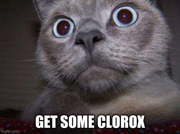 Freaky eye cat | GET SOME CLOROX | image tagged in freaky eye cat | made w/ Imgflip meme maker