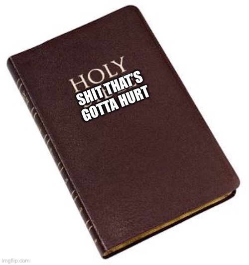 Holy Bible | SHIT THAT’S GOTTA HURT | image tagged in holy bible,memes,holy shit,oof | made w/ Imgflip meme maker