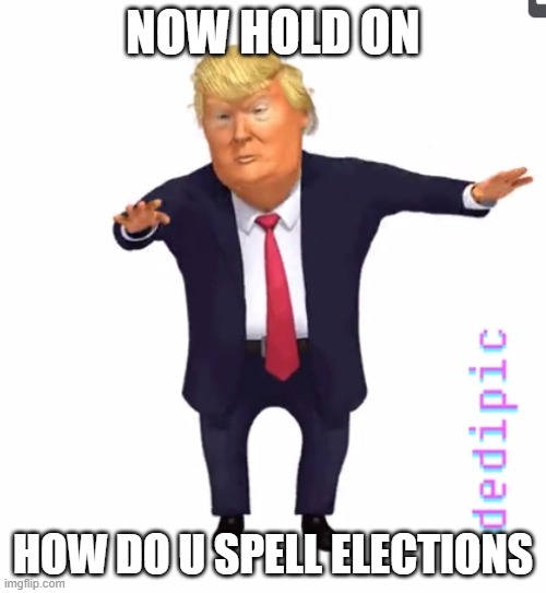 Donald Trump Settling down the crowd | NOW HOLD ON; HOW DO U SPELL ELECTIONS | image tagged in donald trump,election 2020,meme,heres johnny | made w/ Imgflip meme maker