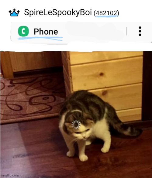 Just, what? | image tagged in loading cat hd | made w/ Imgflip meme maker