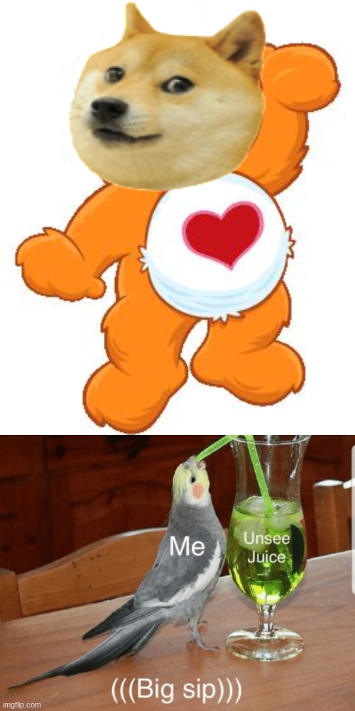 doge the care bear | image tagged in mapp the care bear,unsee juice | made w/ Imgflip meme maker