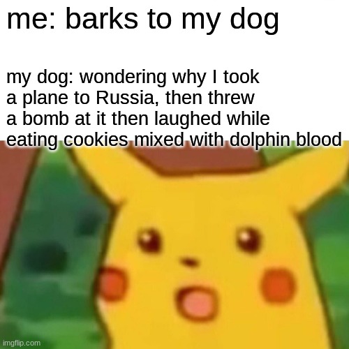 Surprised Pikachu Meme | me: barks to my dog; my dog: wondering why I took a plane to Russia, then threw a bomb at it then laughed while eating cookies mixed with dolphin blood | image tagged in memes,surprised pikachu | made w/ Imgflip meme maker