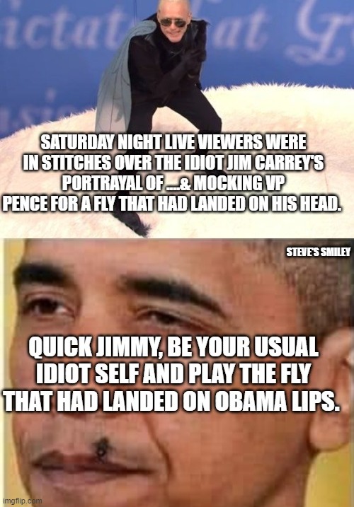 politics | STEVE'S SMILEY | image tagged in political meme | made w/ Imgflip meme maker