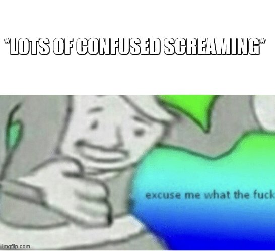 Excuse me wtf blank template | *LOTS OF CONFUSED SCREAMING* | image tagged in excuse me wtf blank template | made w/ Imgflip meme maker