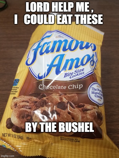Famous | LORD HELP ME , I   COULD EAT THESE; BY THE BUSHEL | image tagged in anyone who loves cookies | made w/ Imgflip meme maker