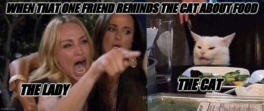 woman yelling at cat | WHEN THAT ONE FRIEND REMINDS THE CAT ABOUT FOOD; THE CAT; THE LADY | image tagged in woman yelling at cat | made w/ Imgflip meme maker