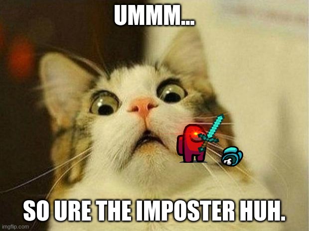 Scared Cat Meme | UMMM... SO URE THE IMPOSTER HUH. | image tagged in memes,scared cat | made w/ Imgflip meme maker