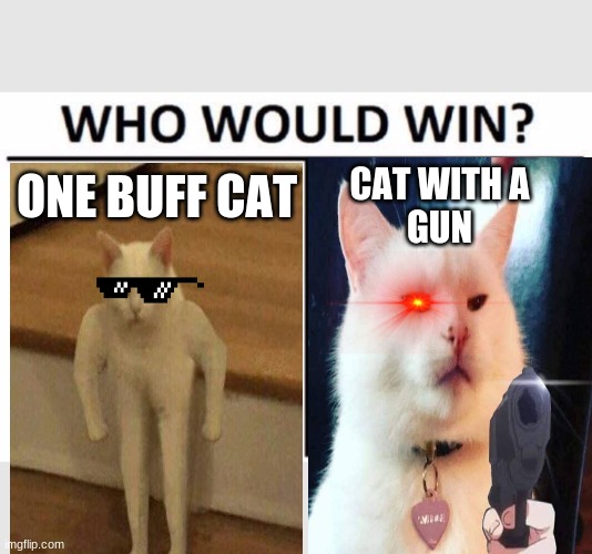 Who Would Win? | ONE BUFF CAT; CAT WITH A
GUN | image tagged in memes,who would win,cat,buff,gun,vs | made w/ Imgflip meme maker