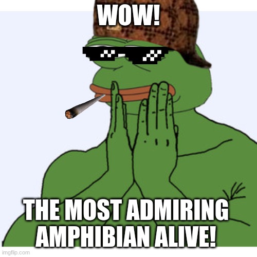 Admiring Pepe the frog | WOW! THE MOST ADMIRING AMPHIBIAN ALIVE! | image tagged in admiring pepe the frog | made w/ Imgflip meme maker