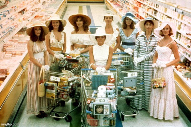 Stepford wives | image tagged in stepford wives | made w/ Imgflip meme maker