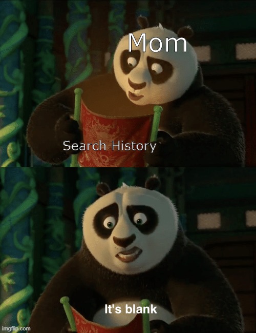 LOL | Mom; Search History | image tagged in kung fu panda blank | made w/ Imgflip meme maker