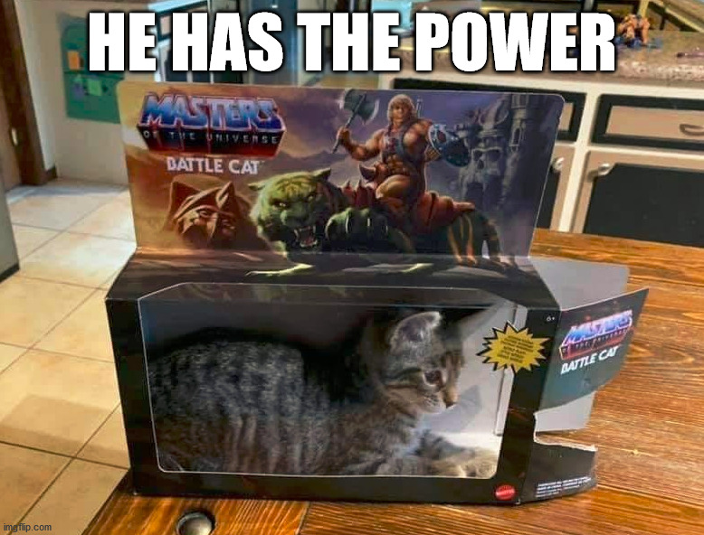  HE HAS THE POWER | image tagged in cats | made w/ Imgflip meme maker