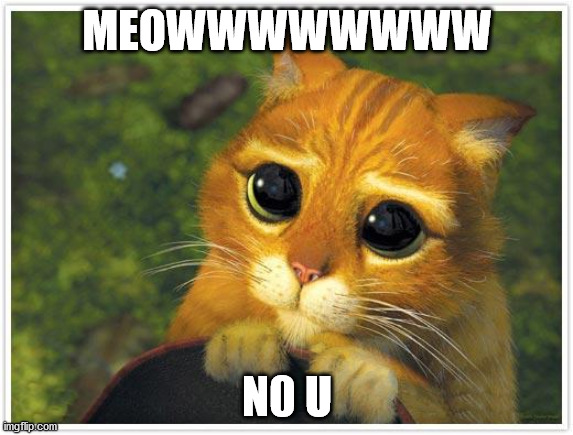 meow | MEOWWWWWWWW; N0 U | image tagged in memes,shrek cat | made w/ Imgflip meme maker