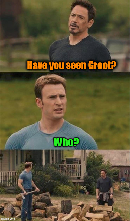 Have you seen Groot? Who? | made w/ Imgflip meme maker