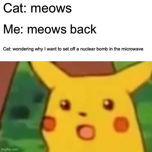 Surprised Pikachu Meme | Cat: meows; Me: meows back; Cat: wondering why I want to set off a nuclear bomb in the microwave | image tagged in memes,surprised pikachu,nuke | made w/ Imgflip meme maker