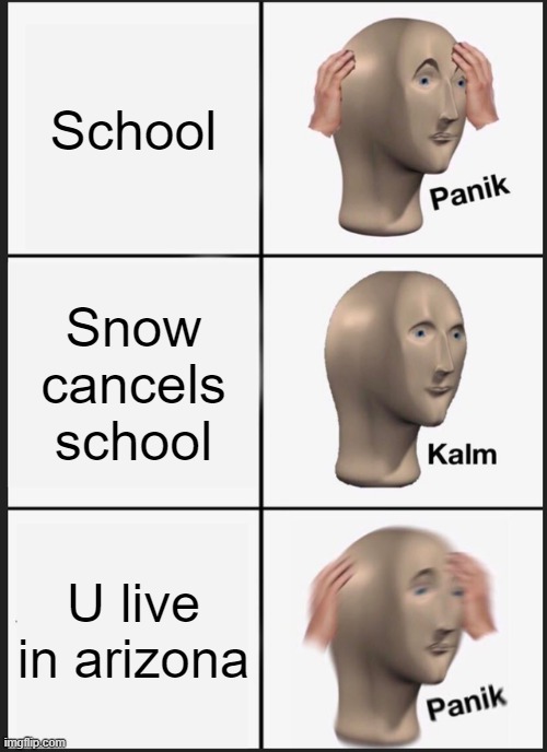 No | School; Snow cancels school; U live in arizona | image tagged in memes,panik kalm panik | made w/ Imgflip meme maker