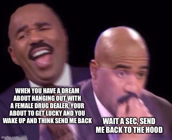 Second thought on a dream lol jk | WHEN YOU HAVE A DREAM ABOUT HANGING OUT WITH A FEMALE DRUG DEALER, YOUR ABOUT TO GET LUCKY AND YOU WAKE UP AND THINK SEND ME BACK; WAIT A SEC, SEND ME BACK TO THE HOOD | image tagged in steve harvey laughing serious | made w/ Imgflip meme maker