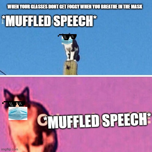 Hail pole cat | WHEN YOUR GLASSES DONT GET FOGGY WHEN YOU BREATHE IN THE MASK; *MUFFLED SPEECH*; *MUFFLED SPEECH* | image tagged in hail pole cat | made w/ Imgflip meme maker