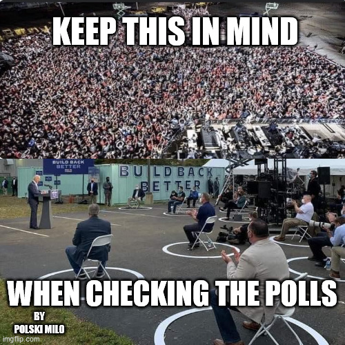 polls | KEEP THIS IN MIND; WHEN CHECKING THE POLLS; BY POLSKI MILO | image tagged in politics | made w/ Imgflip meme maker