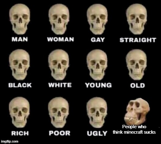 idiot skull | People who think minecraft sucks | image tagged in idiot skull | made w/ Imgflip meme maker